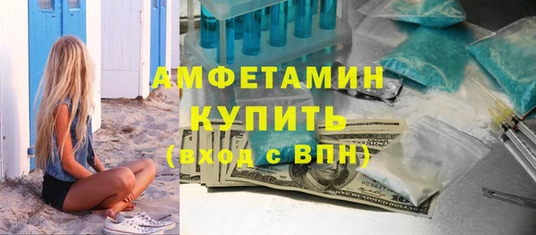 индика Горно-Алтайск