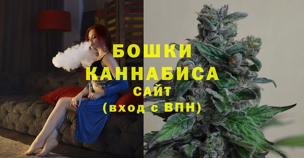 индика Горно-Алтайск