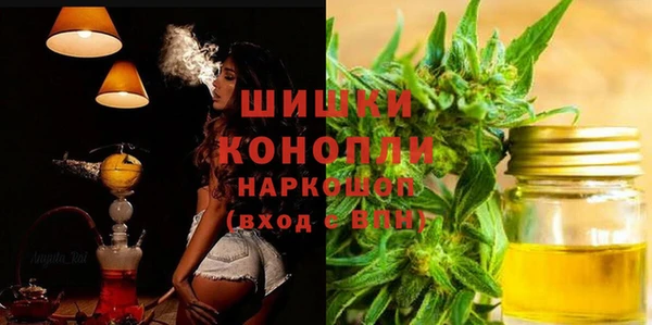 индика Горно-Алтайск