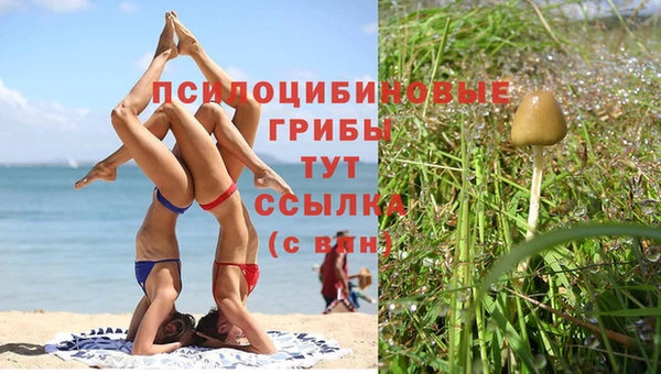 соль ск Вязьма