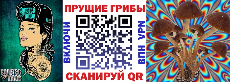 Псилоцибиновые грибы мицелий  Заволжье 